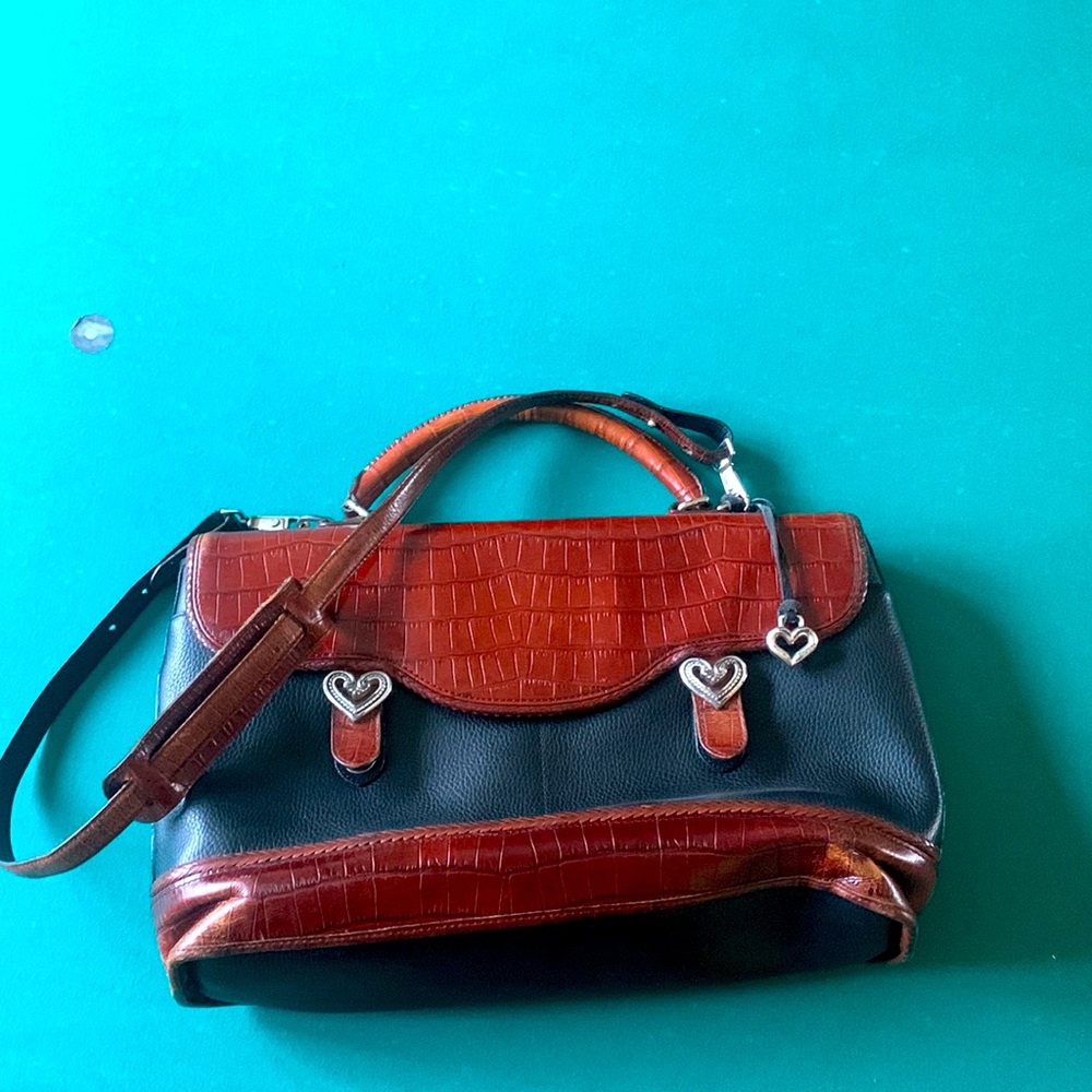 Loved Brighton woman’s Briefcase looking for a new home